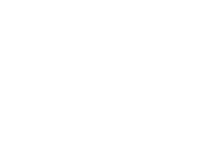 RealityDS