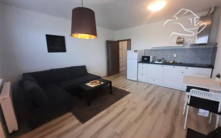 RealityDS - Prenájom 1 izbového bytu s balkónom v novostavbe tehlového bytového domu, Platan