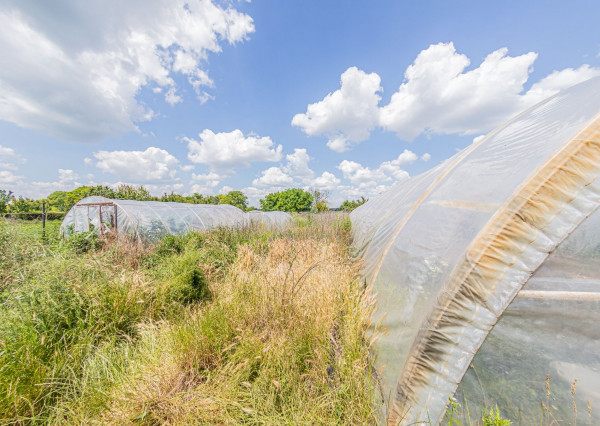 Predaj 4 izb. rodinného domu, garáže a vedľ. stavby na 23,09 á pozemku, ZĽAVA 40000