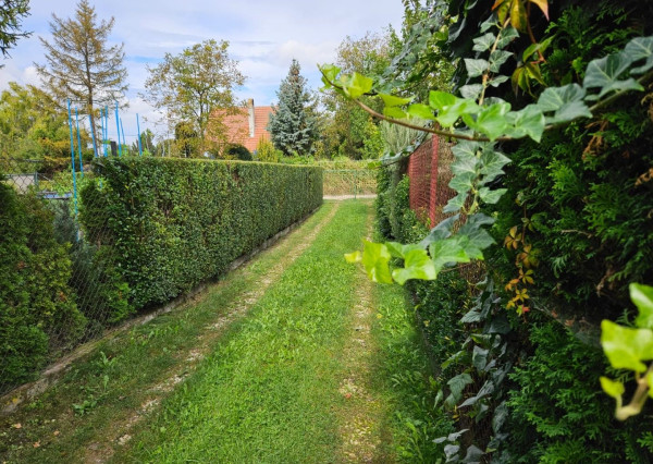 PREDANÁ - RealityDS - Predaj rekreačného pozemku 400 m2 s letnou drevenou chatkou !!!, 65990,- € Dobrohošť