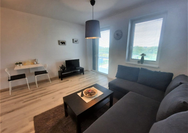 RealityDS - Prenájom 1 izbového bytu s balkónom v novostavbe tehlového bytového domu, Platan