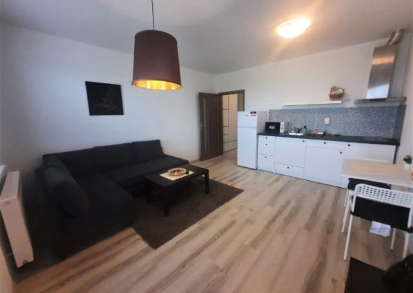 RealityDS - Prenájom 1 izbového bytu s balkónom v novostavbe tehlového bytového domu, Platan
