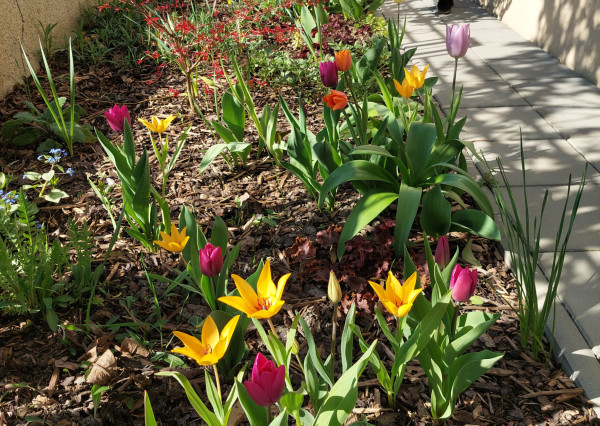 RealityDS - Predaj 2 izb. domu na 5,11á poz., Šamorín - Mliečno